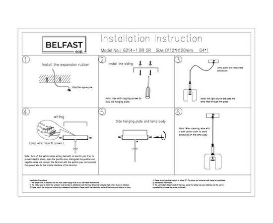 Подвесной светильник Belfast Pansy 6214-1 BR GR, изображение 3