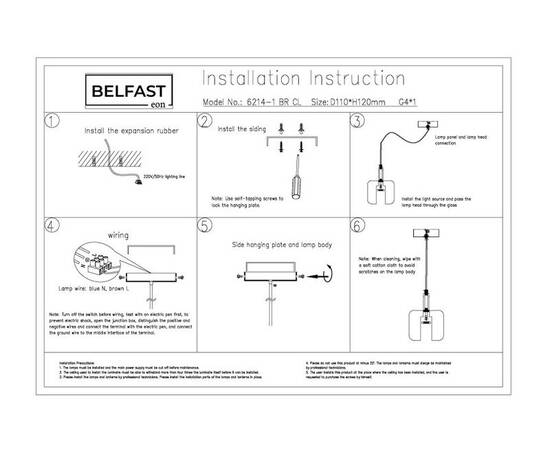 Подвесной светильник Belfast Pansy 6214-1 BR CL, изображение 5