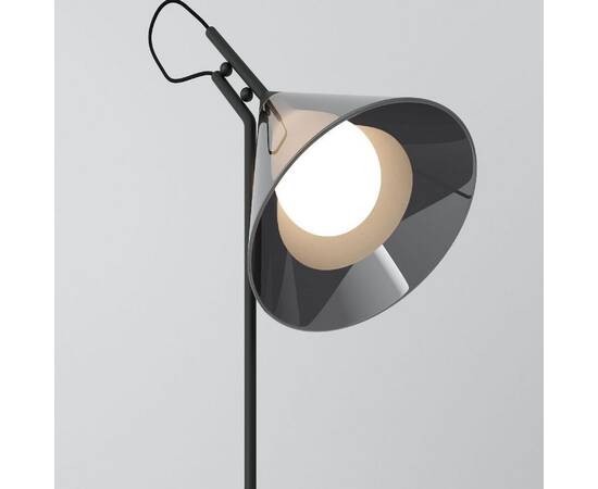 Настольная лампа Eurosvet Enigma 01186/1 черный a069059, изображение 2