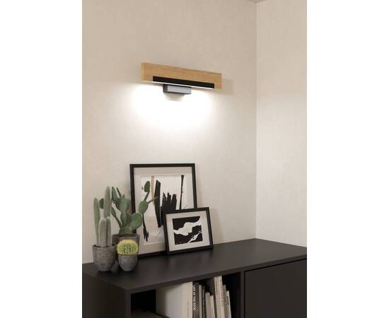 Настенный светильник Eglo Camacho 901738, изображение 2