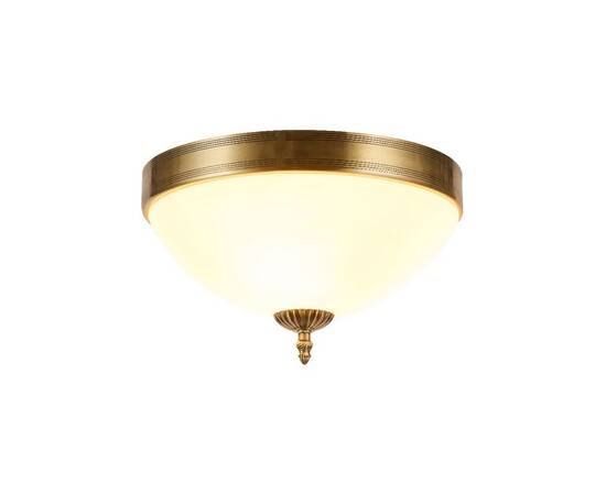 Потолочный светильник Myfar Biene MR1527-3C, изображение 2