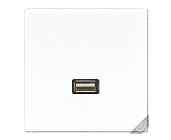 Розетка USB Jung MALS1122