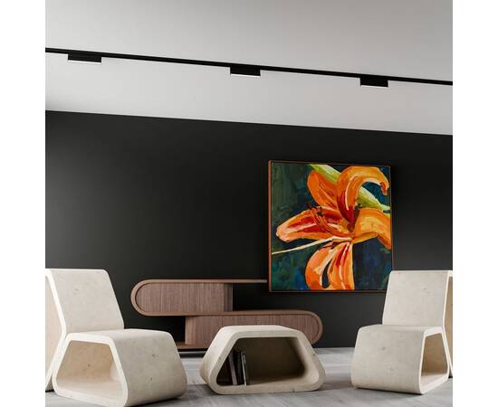 Трековый магнитный светильник Lightera Startrek 220 LE175TRL-6B4K, изображение 7