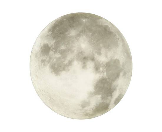 Настенно-потолочный светильник Sonex Pale Moon 3084/CLN, изображение 6