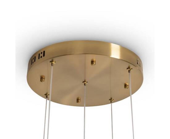 Подвесной светильник Freya Flower FR5579PL-L40BS, изображение 3