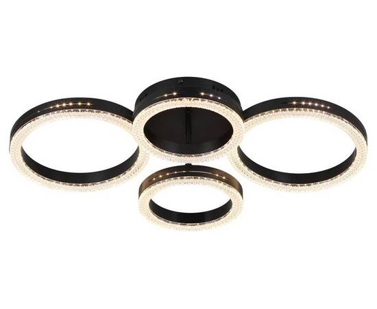 Потолочный светильник Rivoli Flora 6191-201, изображение 2