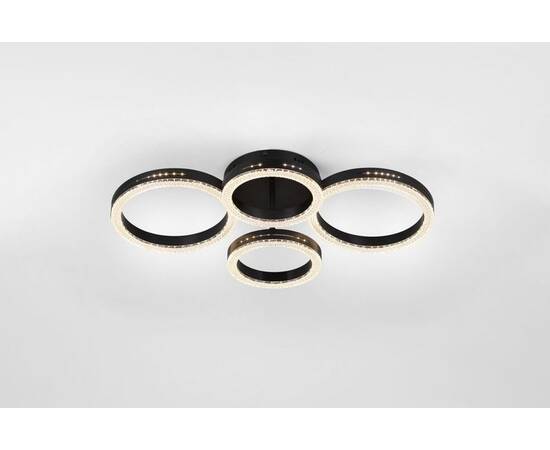 Потолочный светильник Rivoli Flora 6191-201, изображение 3