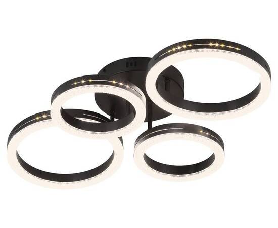 Потолочный светильник Rivoli Flora 6191-201, изображение 4