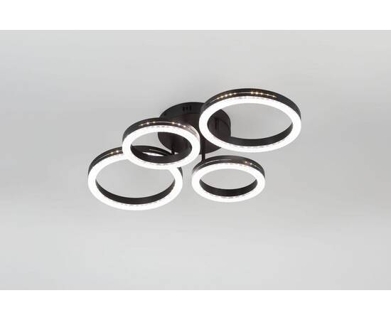 Потолочный светильник Rivoli Flora 6191-201, изображение 5