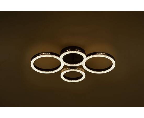 Потолочный светильник Rivoli Flora 6191-201, изображение 7