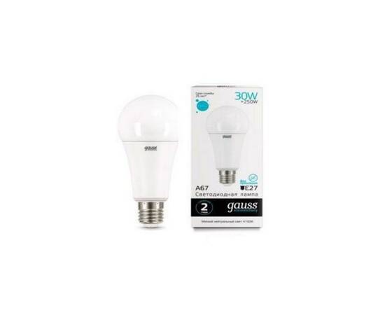 Лампа светодиодная Gauss E27 30W 4100K матовая 73229