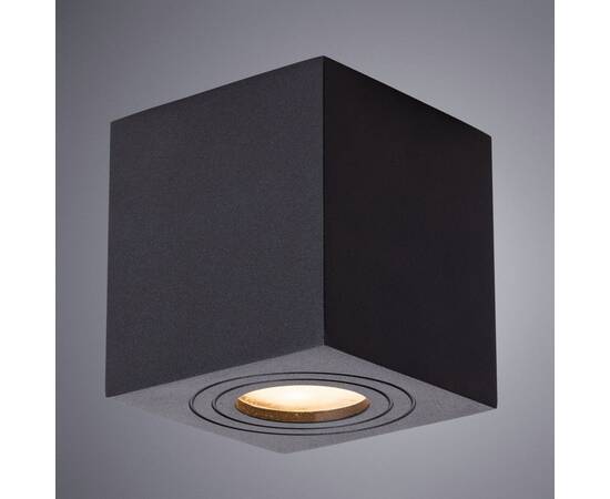 Потолочный светильник Arte Lamp Galopin A1461PL-1BK, изображение 2
