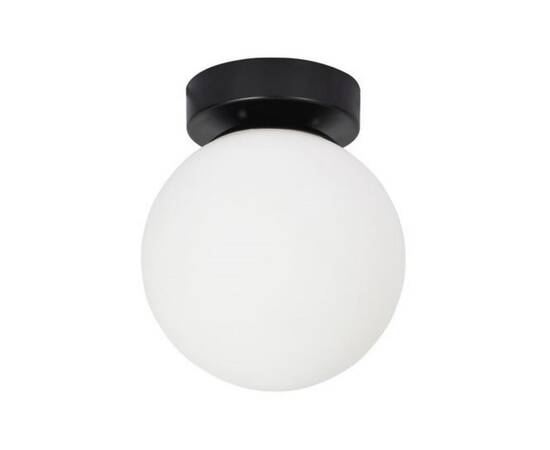 Потолочный светильник Arte Lamp Alcor A2224PL-1BK