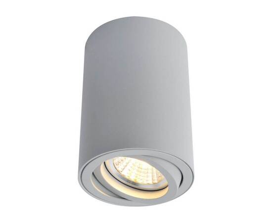 Потолочный светильник Arte Lamp A1560PL-1GY