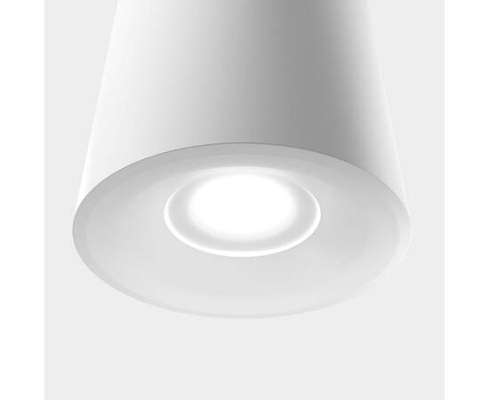 Накладной светильник Lightera Shamrock LE200CL-1W, изображение 2