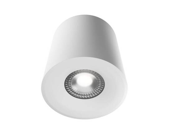Накладной светильник Lightera Shamrock LE201CL-1WB, изображение 3