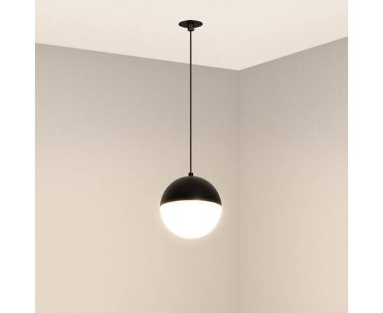 Подвесной светильник Arlight SP-EMISFERO-HANG-BUILT-R150-11W Day4000 (BK, 170 deg, 230V) 056591, изображение 2