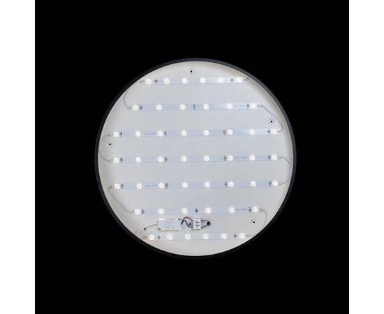 Потолочный светодиодный светильник Loft IT Axel 10002/48 black, изображение 3