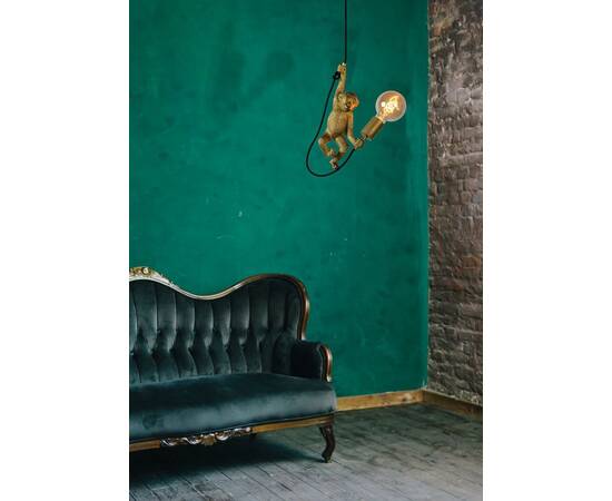 Подвесной светильник Lucide Extravaganza Chimp 10402/01/30, изображение 7