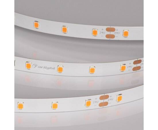 Светодиодная лента Arlight RT-A60-8mm 24V Carrot (4.8 W/m, IP20, 5m) 055375