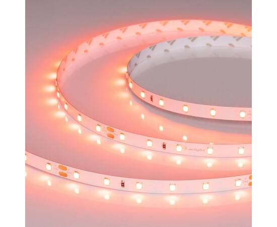 Светодиодная лента Arlight RT-A60-8mm 24V Carrot (4.8 W/m, IP20, 5m) 055375, изображение 2