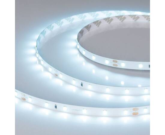 Светодиодная лента Arlight RT-A60-8mm 24V Ice Blue (4.8 W/m, IP20, 5m) 055376, изображение 2