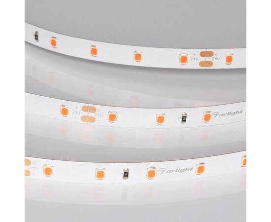 Светодиодная лента Arlight RT-A60-8mm 24V Ruby (4.8 W/m, IP20, 5m) 055374