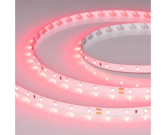 Светодиодная лента Arlight RT-A60-8mm 24V Ruby (4.8 W/m, IP20, 5m) 055374, изображение 2