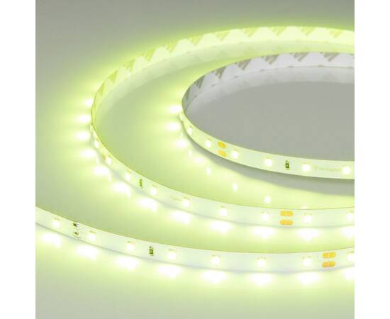 Светодиодная лента Arlight RT-A60-8mm 24V Spring Green (4.8 W/m, IP20, 5m) 055382, изображение 2