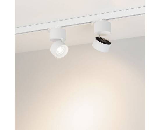 Трековый трехфазный светильник Arlight SP-PLURIO-TRACK-4TR-R77-9W Day4000 (WH-WH, 36 deg, 230V) (IP2, изображение 3