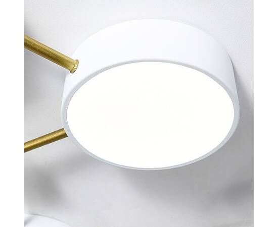 Потолочная люстра Lightera Tizzo LE239PL-3WG, изображение 6