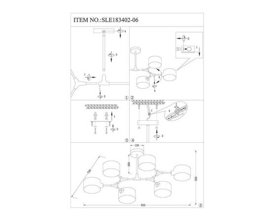 Потолочная люстра Evoluce Gimento SLE183402-06, изображение 2