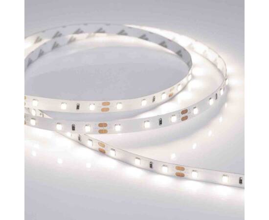 Светодиодная лента Arlight RT-A60-8mm 12V Day4000 011568(2), изображение 2