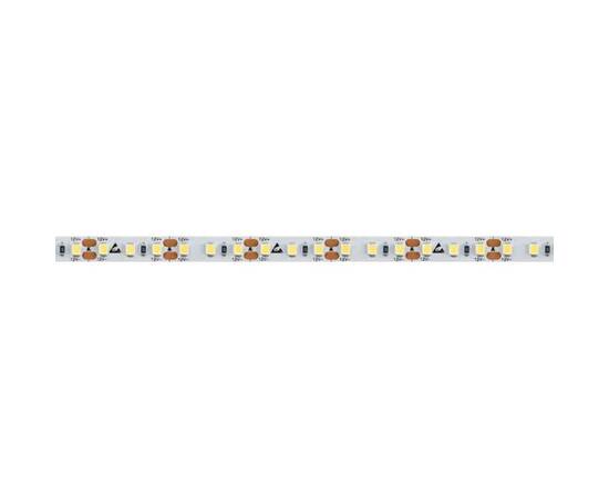 Светодиодная лента Arlight RT-A120-8mm 12V Warm3500 034446, изображение 2