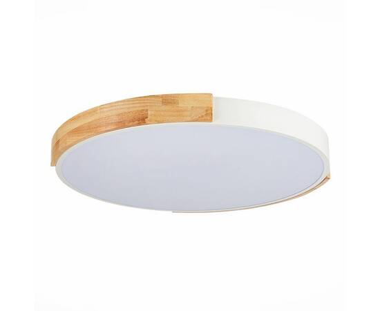 Потолочный сетодиодный светильник Evoluce Delia SLE201352-01