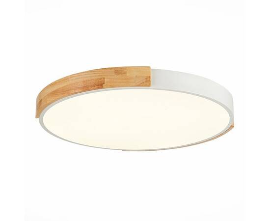 Потолочный сетодиодный светильник Evoluce Delia SLE201352-01, изображение 4