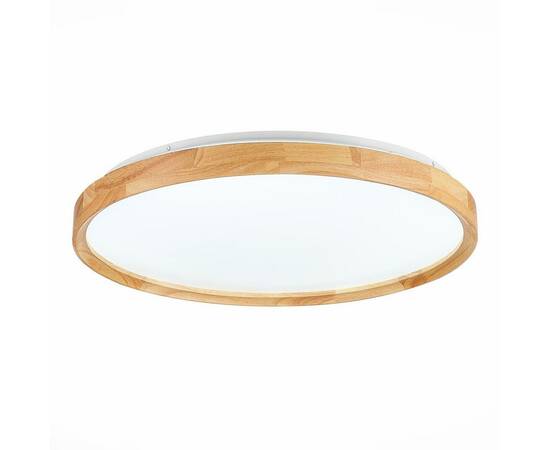 Потолочный сетодиодный светильник Evoluce Delia SLE201382-01, изображение 2