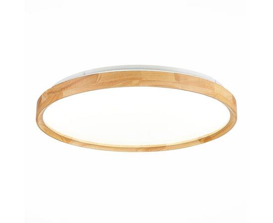 Потолочный сетодиодный светильник Evoluce Delia SLE201382-01, изображение 3