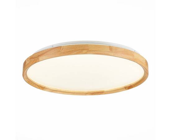Потолочный сетодиодный светильник Evoluce Delia SLE201382-01, изображение 4