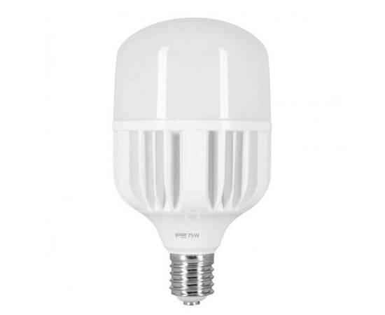 Лампа светодиодная сверхмощная Gauss E40 90W 6500К матовая 11734392