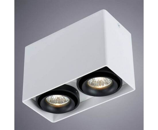 Потолочный светильник Arte Lamp A5655PL-2WH, изображение 2