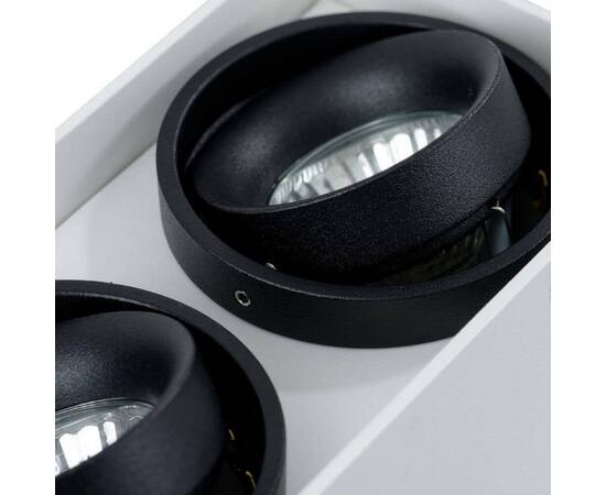 Потолочный светильник Arte Lamp A5655PL-2WH, изображение 3
