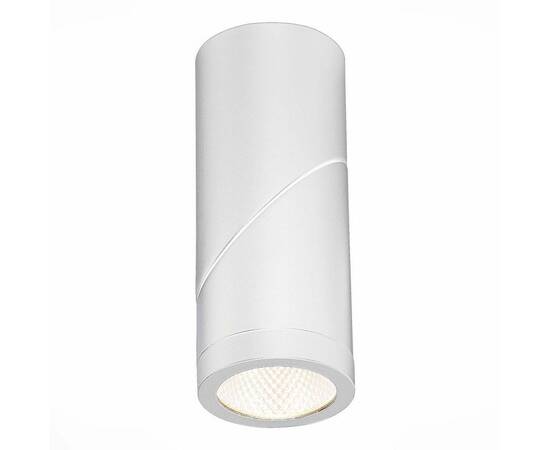 Светодиодный спот ST Luce ST650.542.10, изображение 2