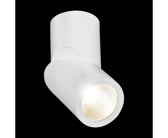 Светодиодный спот ST Luce ST650.542.10, изображение 3