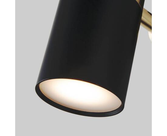 Спот Eurosvet Viero 20096/1 черный/золото, изображение 2