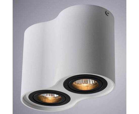 Потолочный светильник Arte Lamp A5644PL-2WH, изображение 3