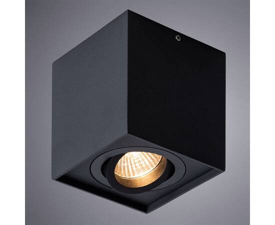 Потолочный светильник Arte Lamp Factor A5544PL-1BK, изображение 2