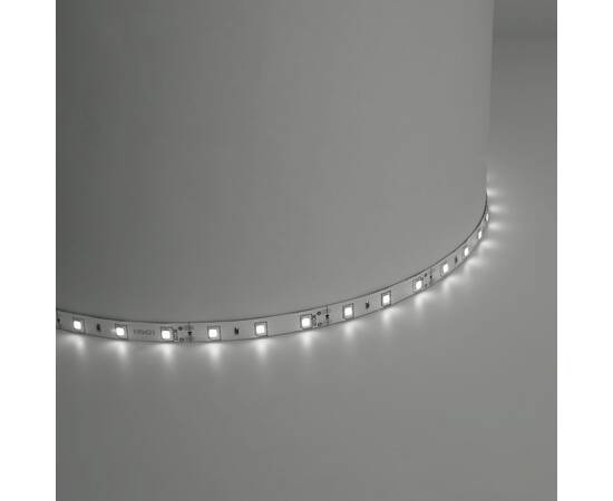 Светодиодная лента Feron 4,8W/m 60LED/m 2835SMD белый 5M LS603 41446, изображение 2