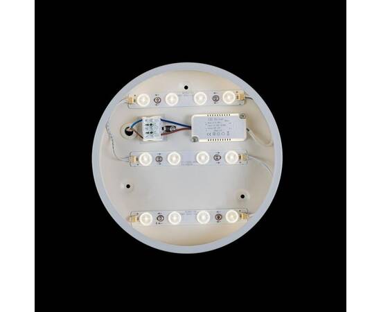 Потолочный светодиодный светильник Loft IT Axel 10002/12 white, изображение 3