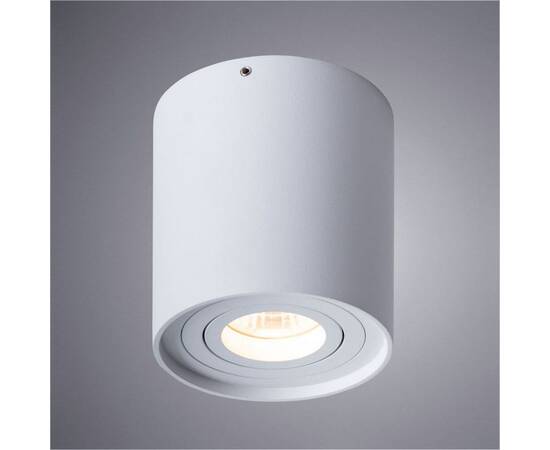 Потолочный светильник Arte Lamp Falcon A5645PL-1WH, изображение 2